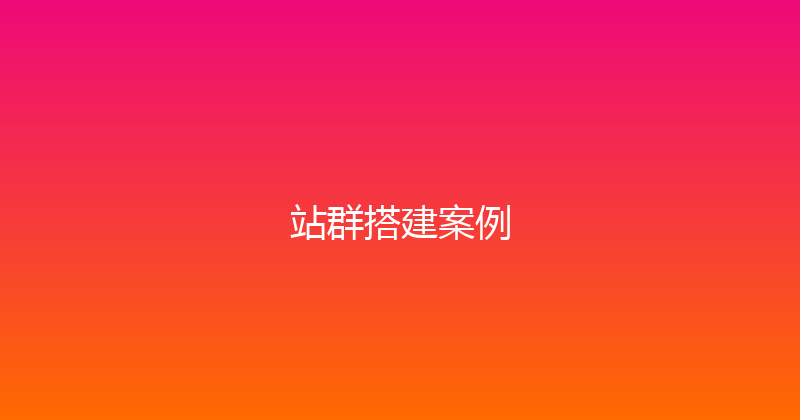 站群搭建案例 封面图