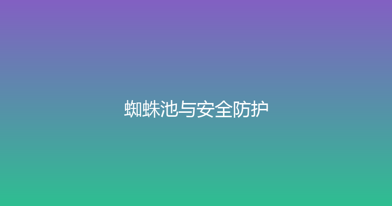 蜘蛛池与安全防护 封面图